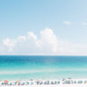 Meet your Posher, Ellie